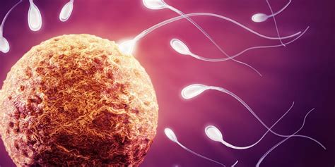 sperm yutunca hamile kalınır mı